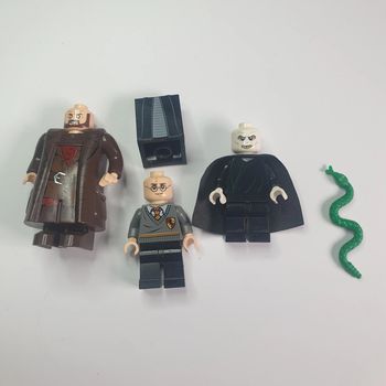 Lego minifigs LEGO The Forbidden Forest 4865