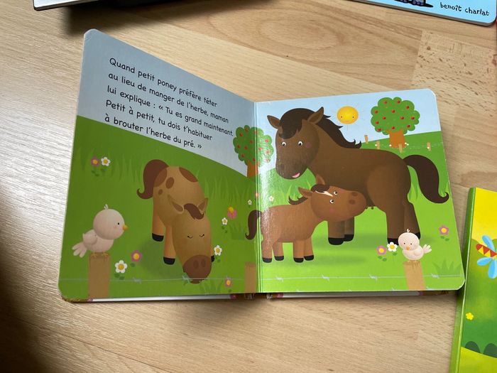 Mon petit bébé poney - photo numéro 3