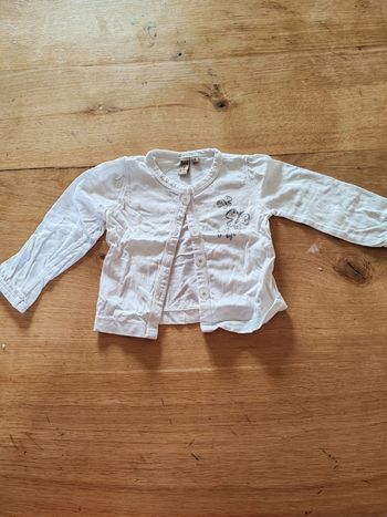 Gilet fin