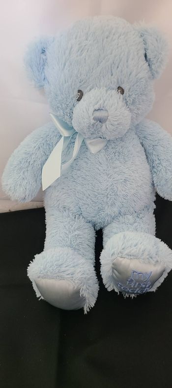 Peluche Ours Gund Bleu