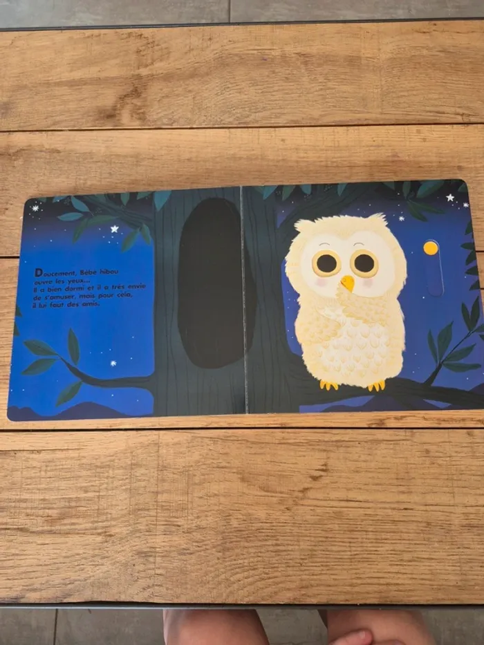 Livre “Au dodo bébé hibou n’a pas sommeil du tout”  Nathan - photo numéro 2