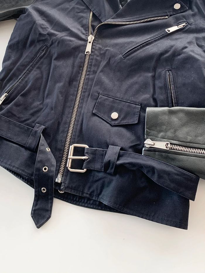 Magnifique Perfecto Sandro mi saison - photo numéro 6