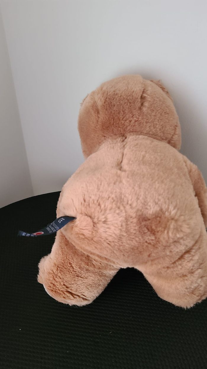 peluche ours - photo numéro 2