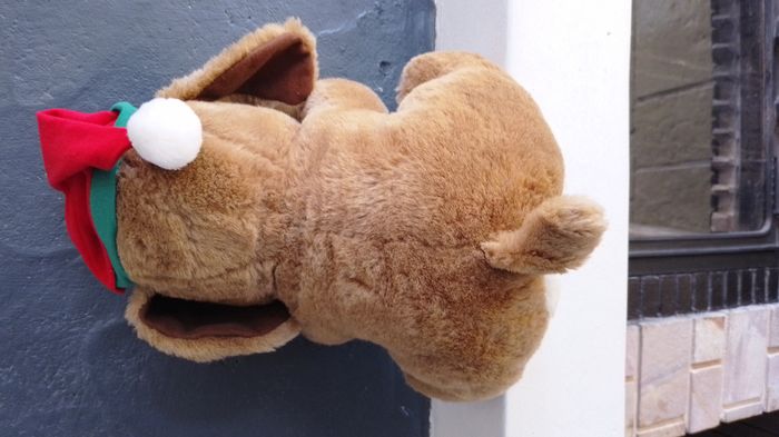 peluches - photo numéro 2