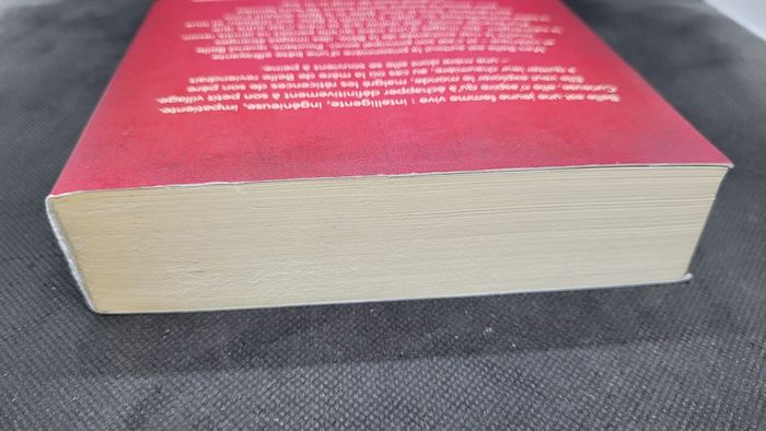 Livre grand format Twisted Tale "Histoire éternelle" - photo numéro 6