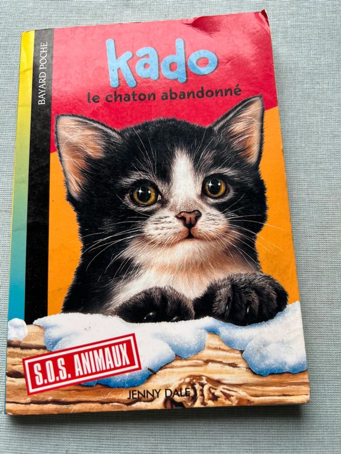 Kado le chaton abandonné