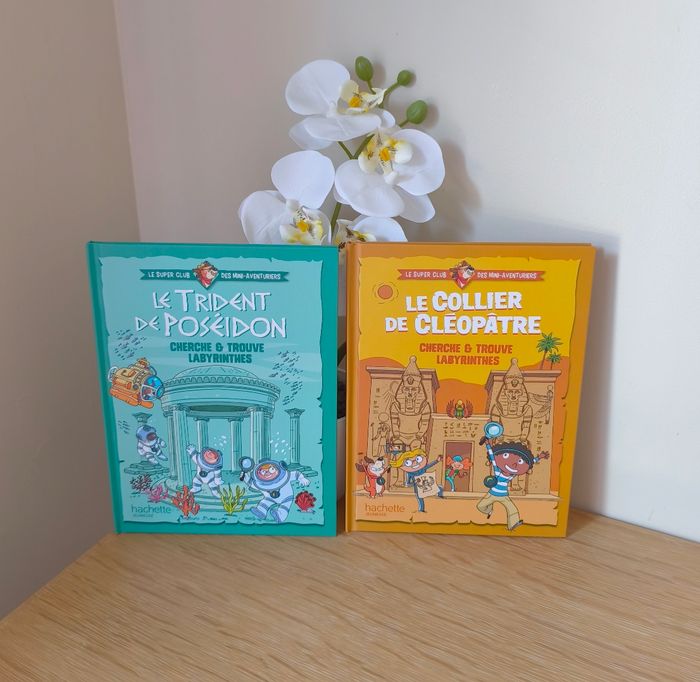 📚 2 livres jeunesse "Cherche & Trouve – Labyrinthes" - Hachette 📚