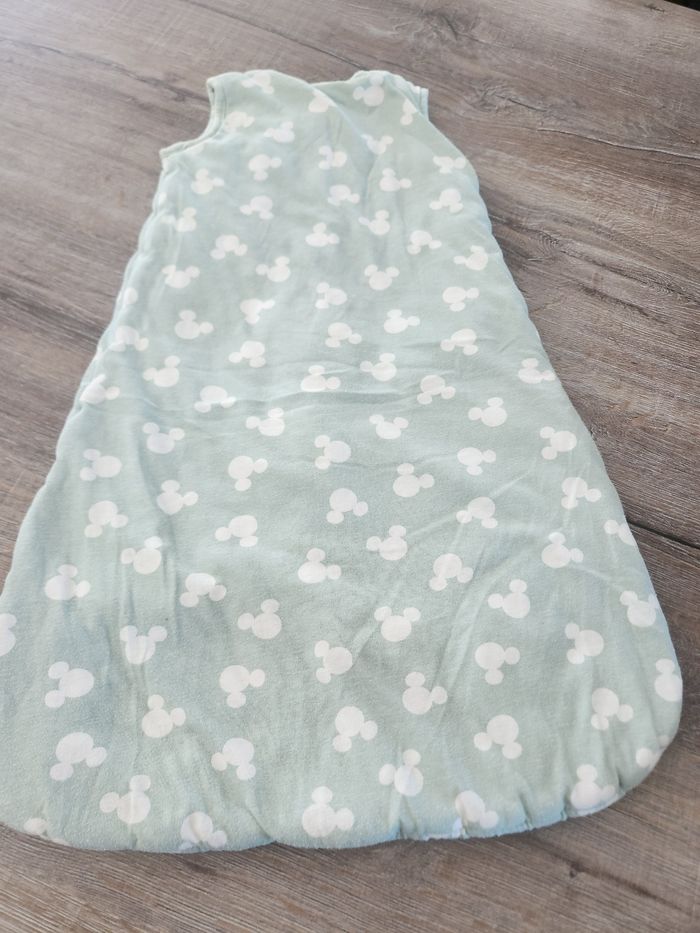 Gigoteuse disney - photo numéro 2