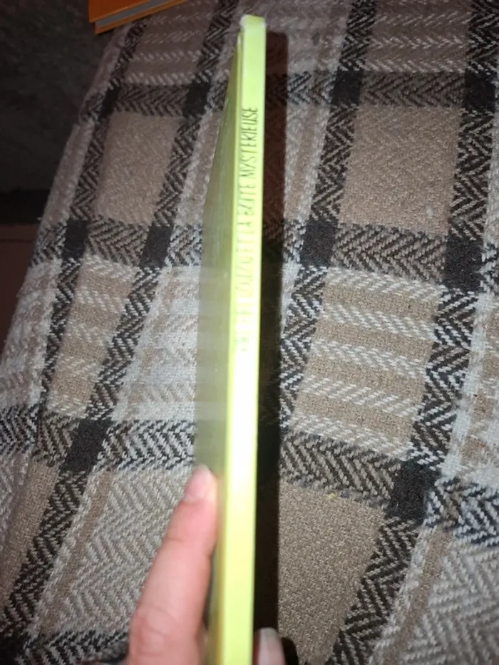 Riri, fifi, loulou et la boîte mystérieuse - photo numéro 3