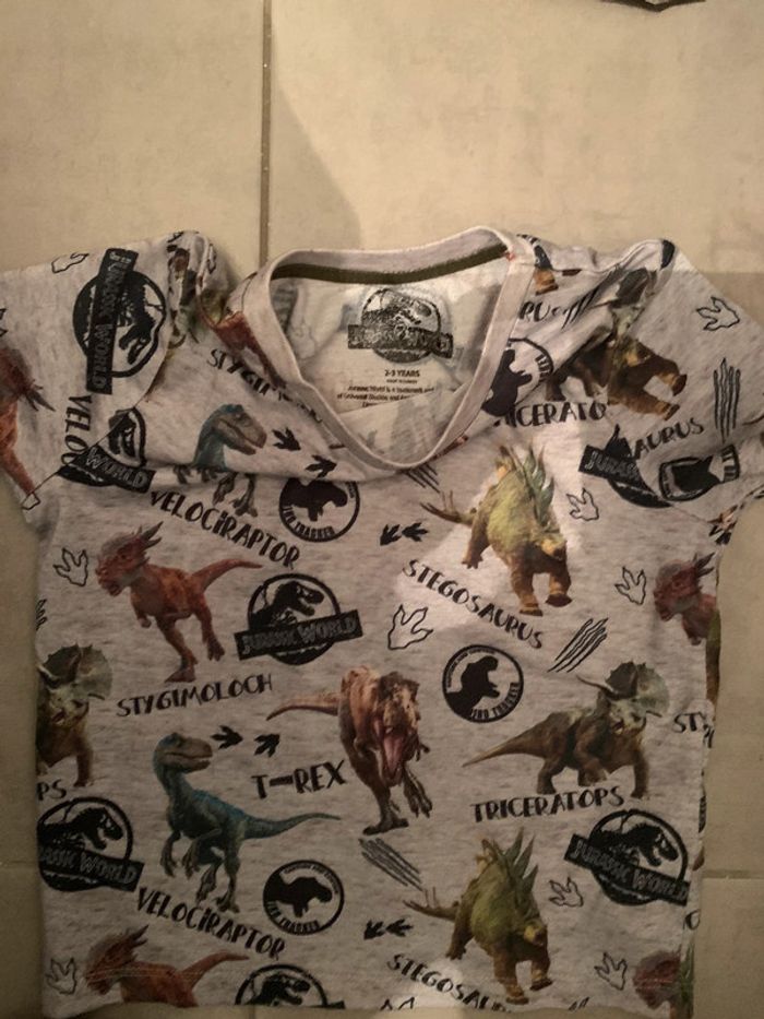 t shirt dinausore - photo numéro 2