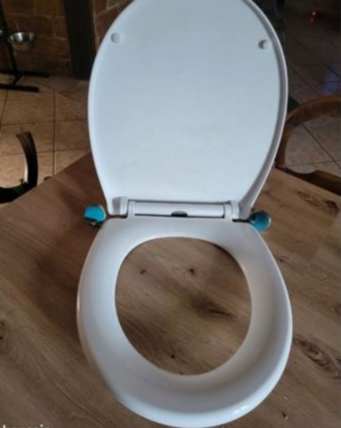 Lunette de toilette