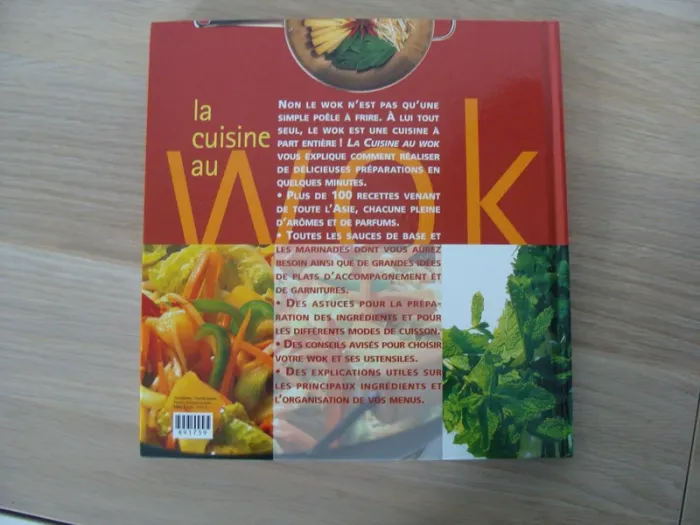 Cuisine au Wok - photo numéro 2