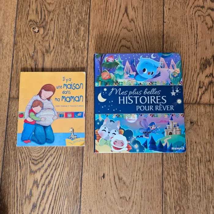 Lot de 2 livres