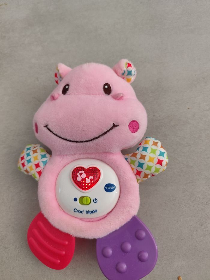 Croc hippo - photo numéro 3