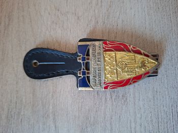 Insigne de poitrine "Pucelle" Sapeurs-Pompiers - Toulouse