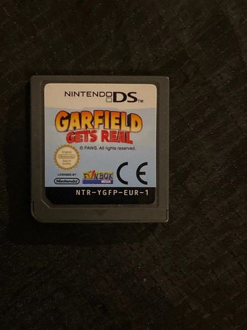Garfield ds