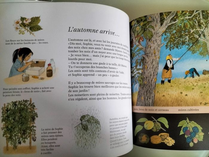 La fête des fruits - photo numéro 5