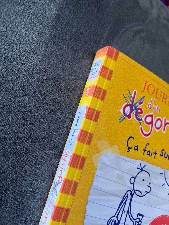 Livre journal d’un dégonflé tome 4 - photo numéro 2