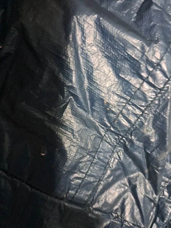 Coupe vent 6 ans - photo numéro 2