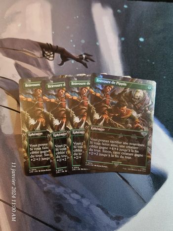 Bravoure de pippin