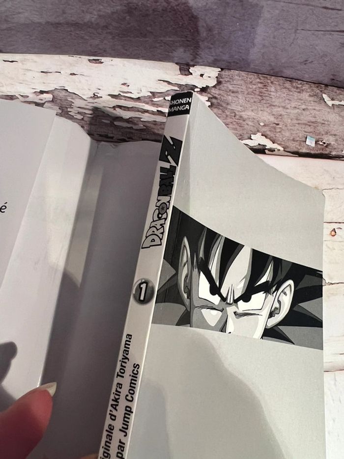 Dragon ball Z - photo numéro 4