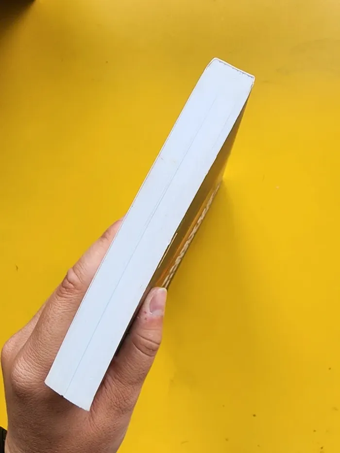 Livre broché "l'incendie du bazar de la charité" de Bruno Fuligni - photo numéro 6