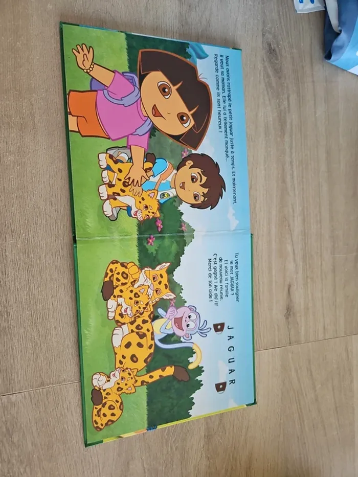 Livre dora l'exploratrice - photo numéro 4