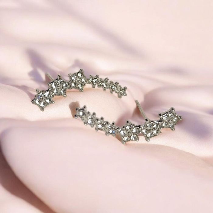Boucles d'oreilles grimpantes - photo numéro 1