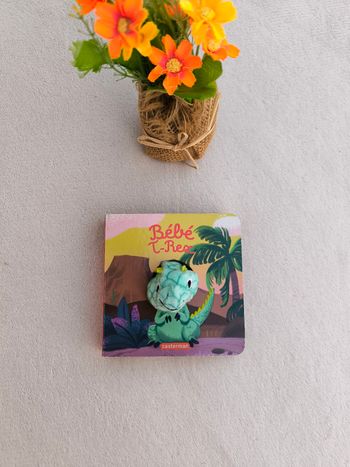 Livre Bébé T-Rex Casterman