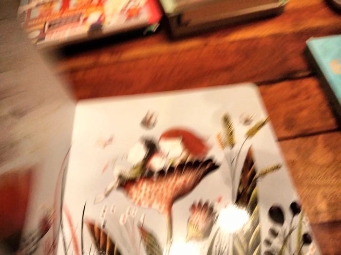 Livre cartonné avec CD 52 min environ - photo numéro 9