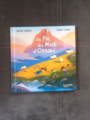 Livre Mac Do Le pic du midi d'Ossau Merveilles de France