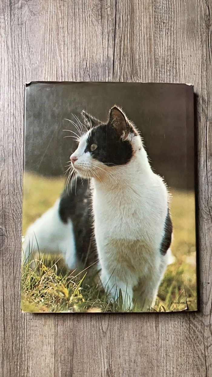 Livre relié Le Monde fascinant des chats - photo numéro 3