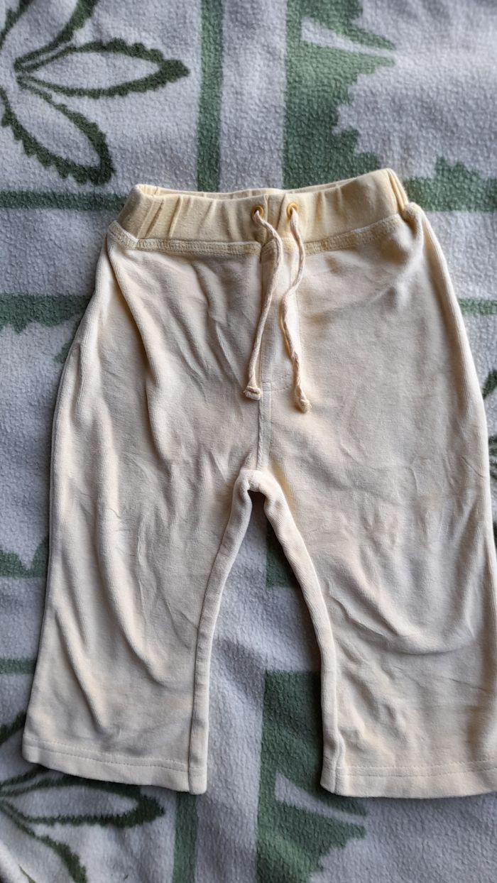 Pantalon velours