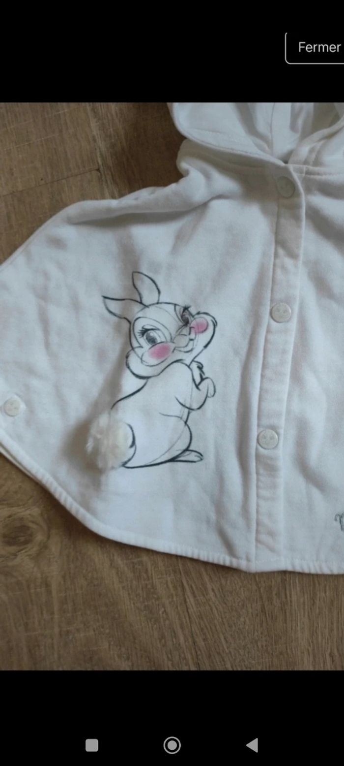 Gilet ou Poncho à capuche doux à l'intérieur Disney fille 24 mois - photo numéro 2
