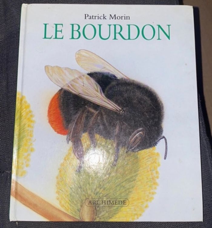 Le bourdon patrick morin