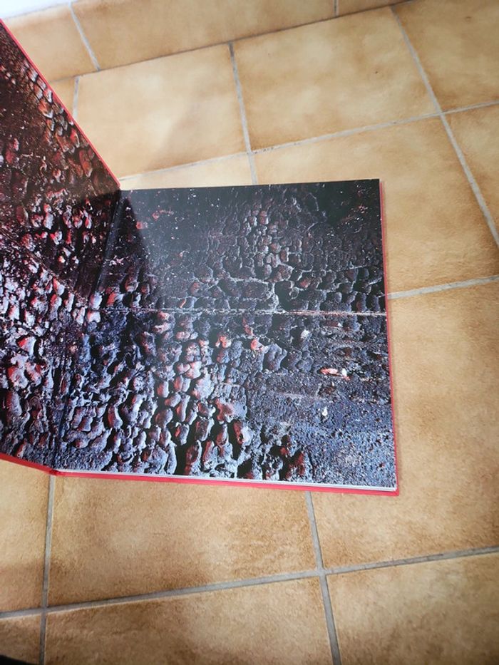 Livre la grande histoire des sapeurs-pompiers le feu sacré - photo numéro 10