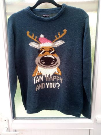 Pull noël
