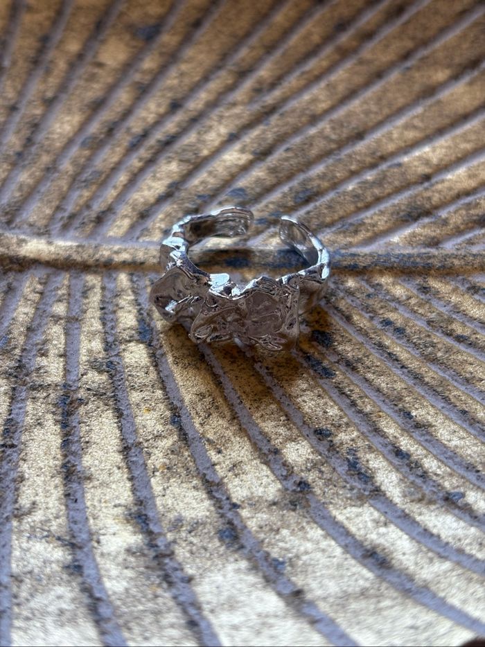 Bague - photo numéro 2