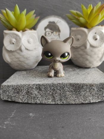 Littlest Petshop LPS Pet Shop chat main coon 1059 cat maincoon #geektradelpschat