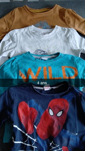 Lot tee shirts manches longues