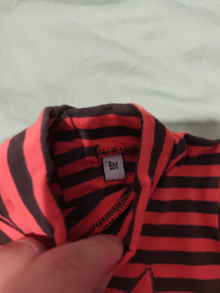 Ensemble - photo numéro 4