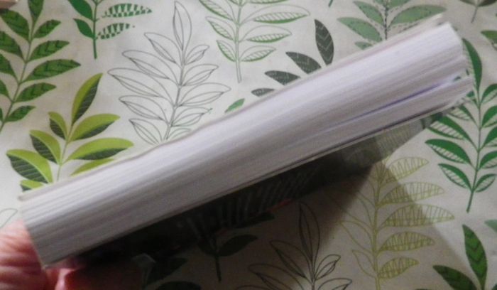 Auto-Psy de l'Ankou Panique dans le Trégor de Michel Dozsa Ed. Breizh Noir - photo numéro 4