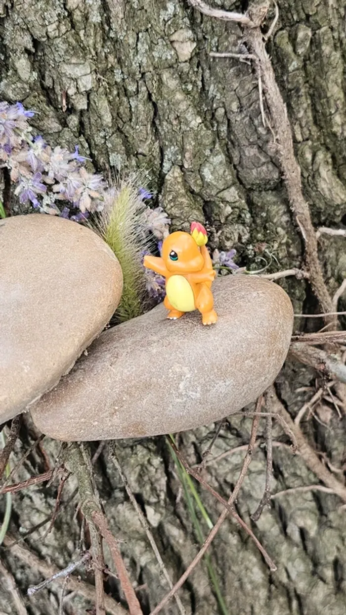 Super figurine Pokemon Nintendo Salameche - photo numéro 2