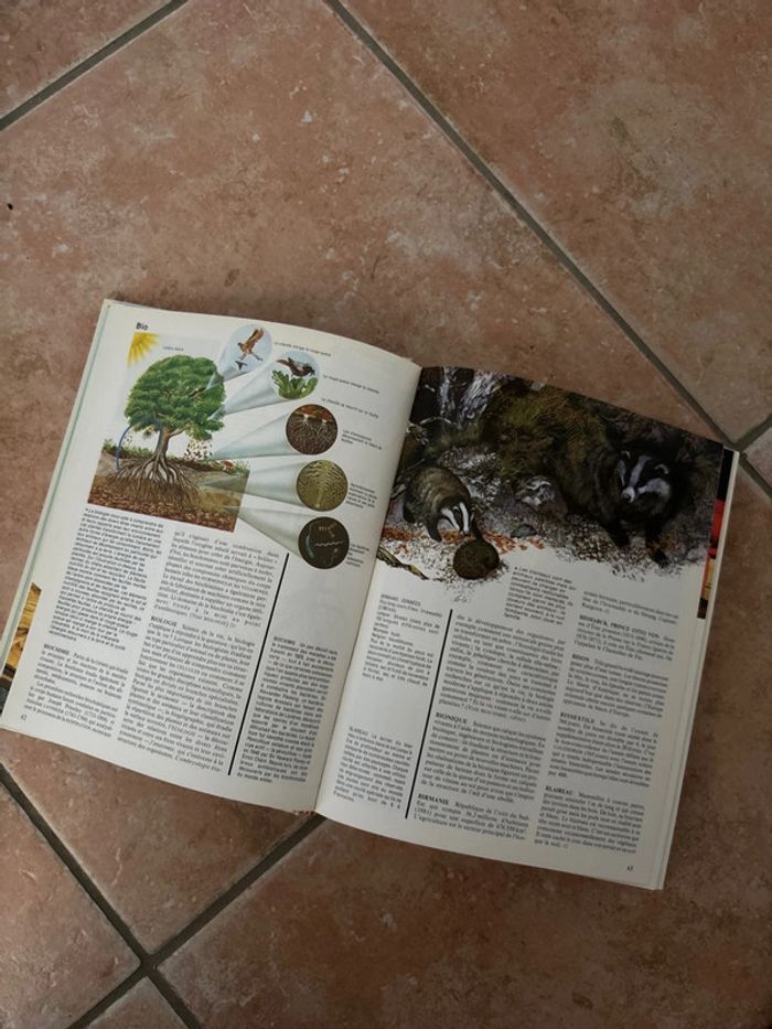 Livre la nouvelle encyclopédie des jeunes - photo numéro 4