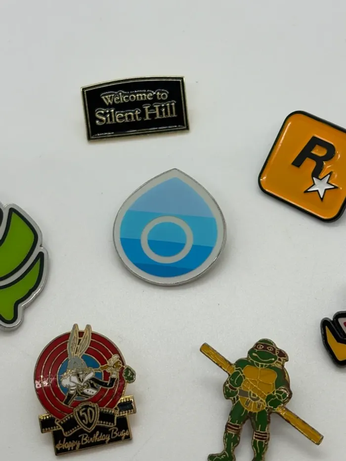 Lot de pins - photo numéro 6