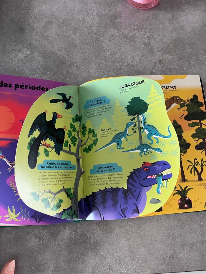 Livre dinosaure - photo numéro 3
