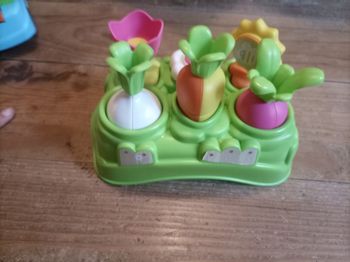 Jardin potager