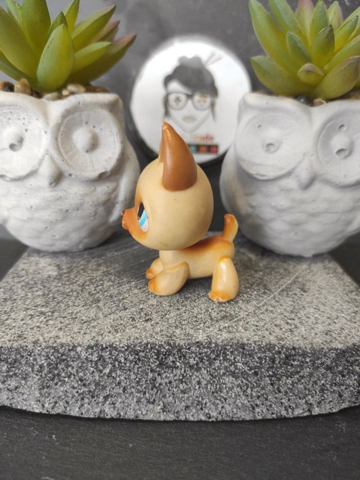 Little Petshop LPS chien berger allemand german shepherd 212 #geektradelpschien - photo numéro 4