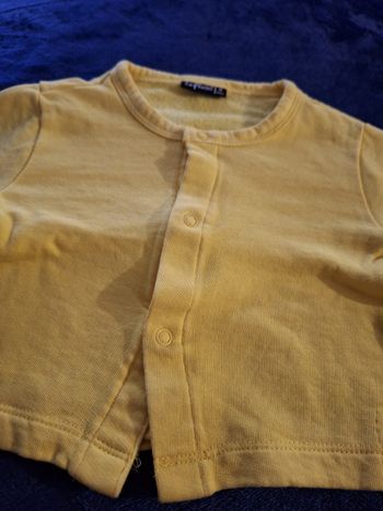 Gilet