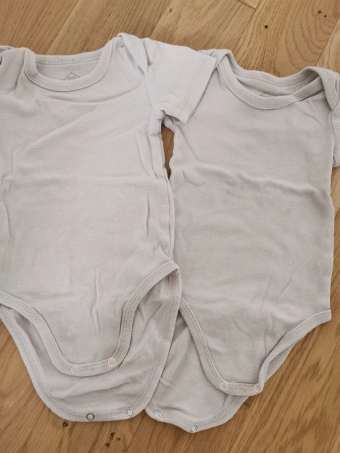 Lot de 3 bodies TEX 12 mois - photo numéro 3